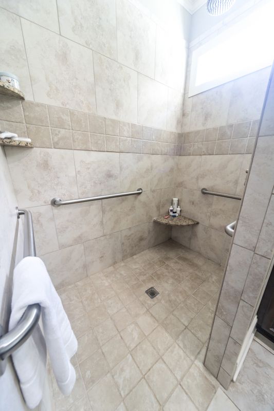 Walk-In Shower with Built-In Niche